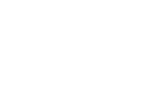 DOWN PLUS合作品牌